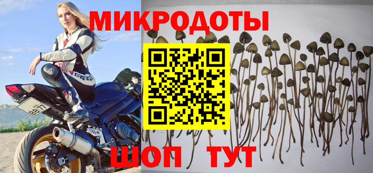 магазин    Псилоцибиновые грибы прущие грибы  Вход с VPN  Галлюциногенные грибы прущие грибы  Калач-на-Дону 
